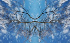Maria Rebecca Ballestra - Journey into Fragility